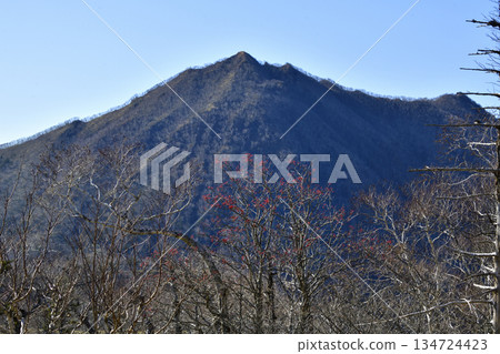 View of the Uramashu Outer Rim Trail 134724423