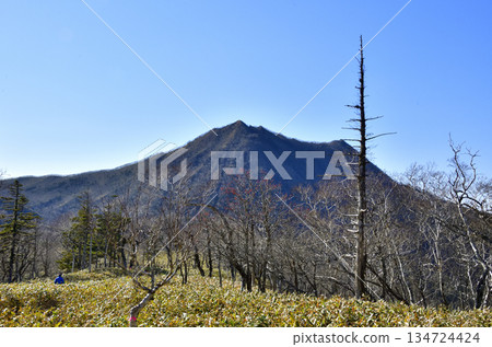 View of the Uramashu Outer Rim Trail 134724424