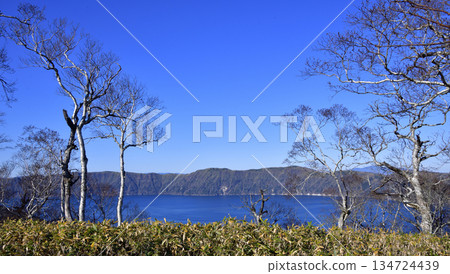 View of the Uramashu Outer Rim Trail 134724439