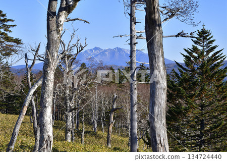 View of the Uramashu Outer Rim Trail 134724440