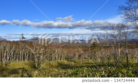 View of the Uramashu Outer Rim Trail 134724444