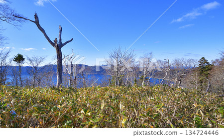 浦間外環步道景色 134724446