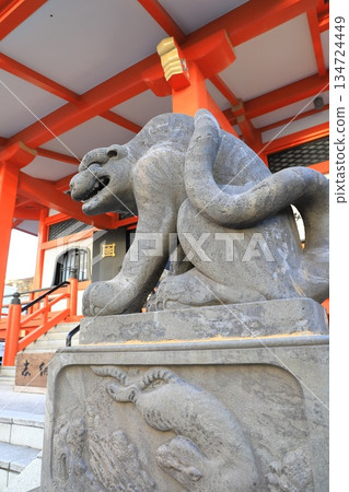 東京都新宿區神樂坂石虎市毗沙門天善國寺 134724449