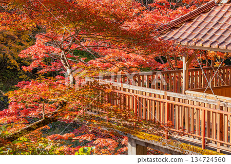 Scenery of Oihira Park in Toyota City (Aichi Prefecture) Scenery of Oihira Park in Toyota City (Aichi Prefecture) 134724560