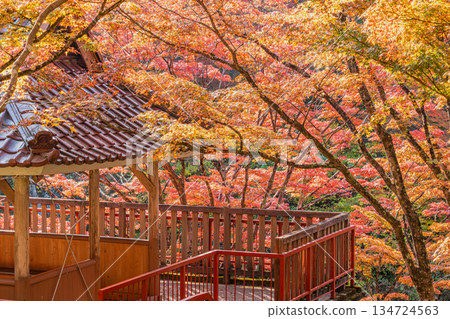 Scenery of Oihira Park in Toyota City (Aichi Prefecture) Scenery of Oihira Park in Toyota City (Aichi Prefecture) 134724563