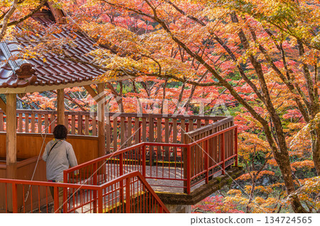 Scenery of Oihira Park in Toyota City (Aichi Prefecture) Scenery of Oihira Park in Toyota City (Aichi Prefecture) 134724565