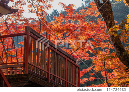 Scenery of Oihira Park in Toyota City (Aichi Prefecture) Scenery of Oihira Park in Toyota City (Aichi Prefecture) 134724683