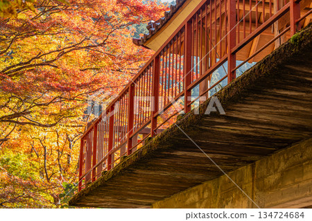 Scenery of Oihira Park in Toyota City (Aichi Prefecture) 134724684