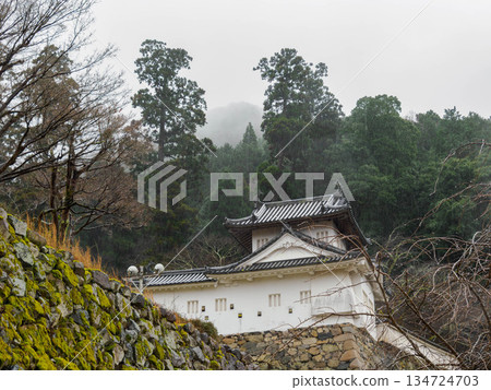 Izushi Castle ruins in Izushi-cho, Toyooka City, Hyogo Prefecture 134724703