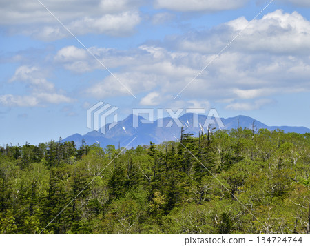 View of the Uramashu Outer Rim Trail View of the Uramashu Outer Rim Trail 134724744