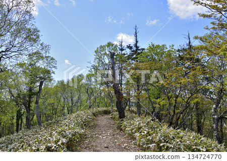 浦間外環步道景色 134724770