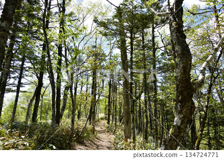 浦間外環步道景色 134724771