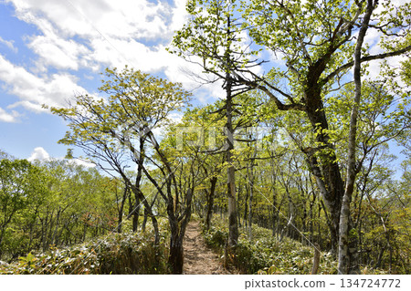 浦間外環步道景色 134724772