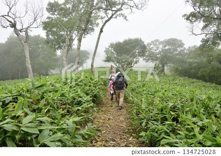 Uramashu Outer Rim Trail 134725028
