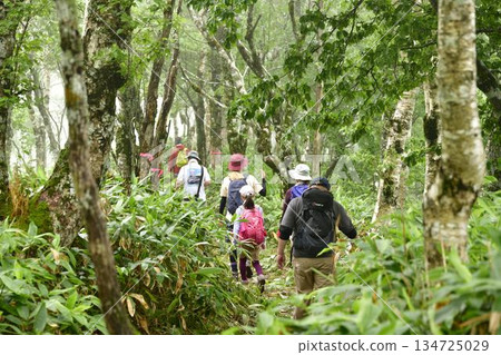 烏拉瑪舒外環小徑 134725029