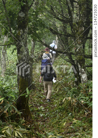 烏拉瑪舒外環小徑 134725030