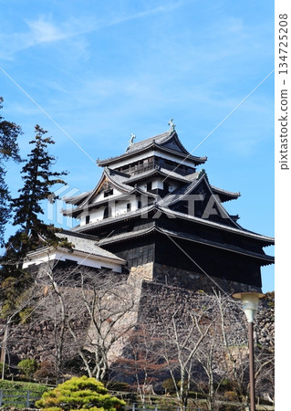 Matsue Castle Matsue Castle 134725208