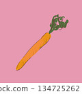 Carrot background material 134725262