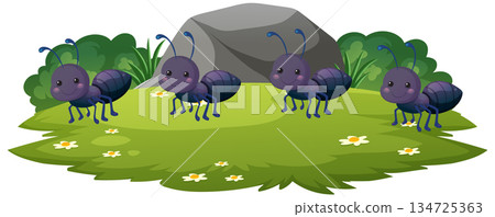 Cartoon Ants on Grass Near Rock and Bushes Cartoon Ants on Grass Near Rock and Bushes 134725363