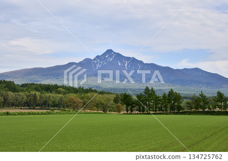 Mt. Shari in early spring 134725762