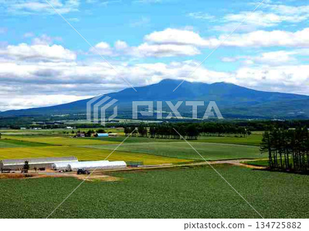 夏日的捨里山和鄉村景色 夏日的捨里山和鄉村景色 134725882