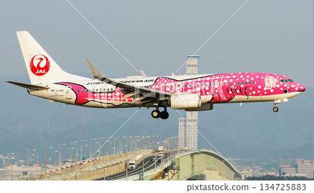 JTA 紅鯊關西大橋背景頻道 JTA 紅鯊關西大橋背景頻道 134725883
