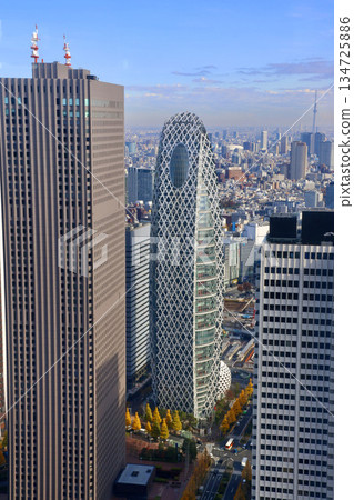 從東京都廳新宿分中心大樓眺望（東京都新宿區） 134725886
