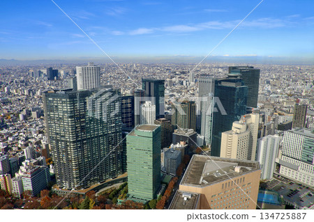 從東京都廳新宿分中心大樓眺望(東京都新宿區) 從東京都廳新宿分中心大樓眺望(東京都新宿區) 134725887