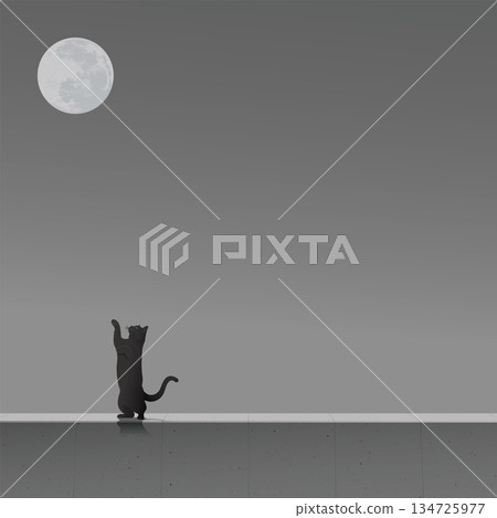 Black cat standing on cement barrier and try to reach out and grab the moon graphic illustration have blank space. Black cat standing on cement barrier and try to reach out and grab the moon graphic illustration have blank space. 134725977