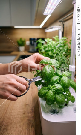 Hands Harvesting Fresh Herbs from High Tech Indoor Smart Garden System Hands Harvesting Fresh Herbs from High Tech Indoor Smart Garden System 134726073