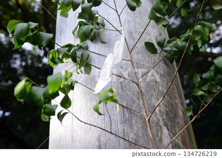 Torii gate and sakaki tree on the sky approach to Ise Shrine 134726219