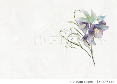 Snowdrop and Christmas rose bouquet 134726458