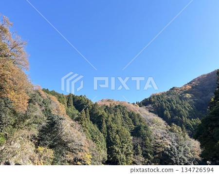 陽光普照的山林與蔚藍的天空 134726594