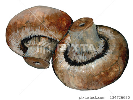 Mushroom 134726620