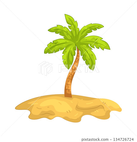 Illustration of palm tree Illustration of palm tree 134726724