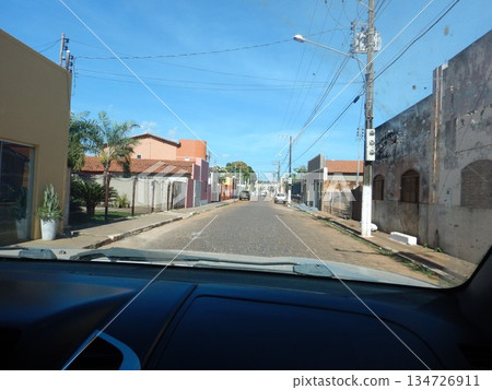 潘塔納爾濕地 134726911