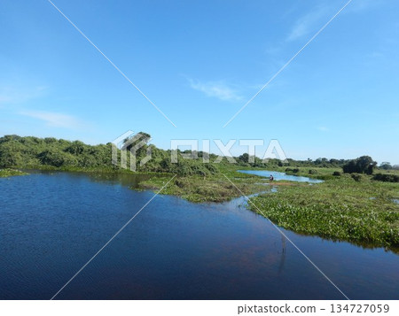 Pantanal landscape 134727059