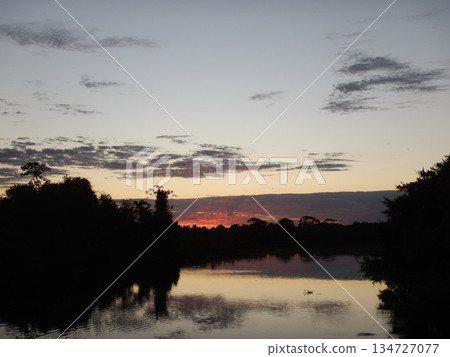 Pantanal landscape 134727077