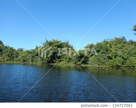 Pantanal landscape Pantanal landscape 134727081