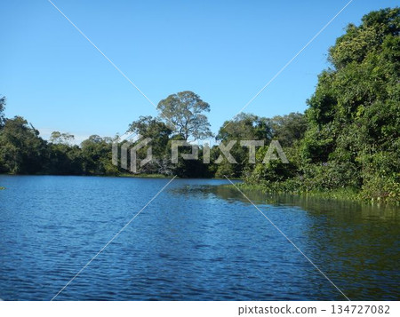 Pantanal landscape 134727082