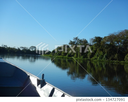 Pantanal landscape Pantanal landscape 134727091