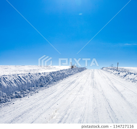 北海道美瑛市，隆冬時節，山坡上積雪結冰的道路。 134727116