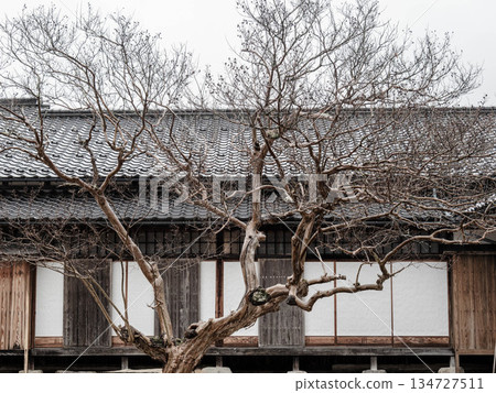 雨中漫步兵庫縣豐岡市出石町 134727511