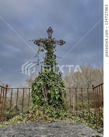 Natural background of the old cemetery. catholic or christian tombstone entwined with ivy and grass Natural background of the old cemetery. catholic or christian tombstone entwined with ivy and grass 134727863