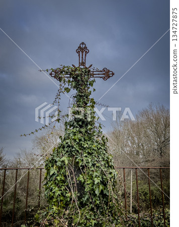 Natural background of the old cemetery. catholic or christian tombstone entwined with ivy and grass Natural background of the old cemetery. catholic or christian tombstone entwined with ivy and grass 134727875