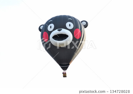 Hot air balloon · balloon 134728028