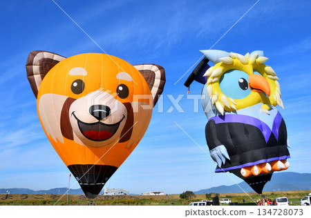 Hot air balloon · balloon 134728073