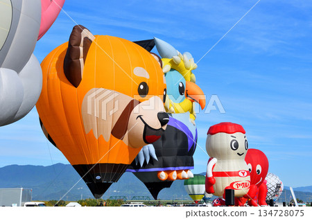 Hot air balloon · balloon 134728075