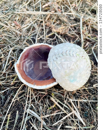 破碎的壘球 134728080