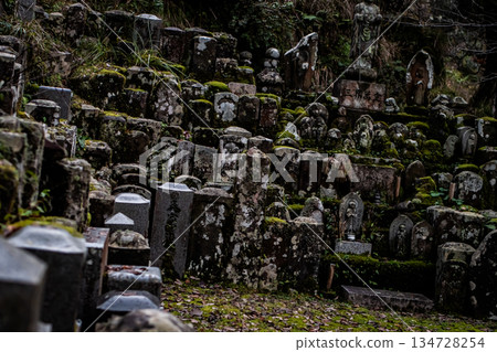 “墓地裡堆積如山的無人認領的墳墓” “墓地裡堆積如山的無人認領的墳墓” 134728254